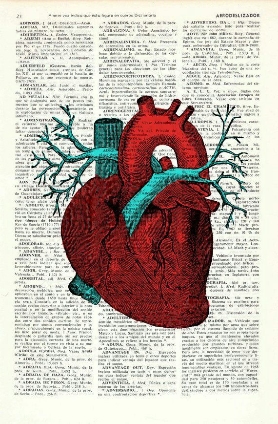 anatomia del corazon humano imagenes